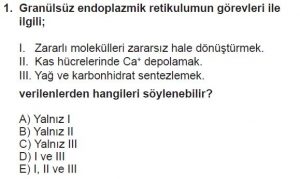9. Sınıf Biyoloji Test 15 Soru-1