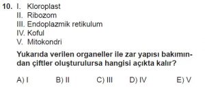 9. Sınıf Biyoloji Test 15 Soru-10