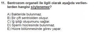 9. Sınıf Biyoloji Test 15 Soru-11