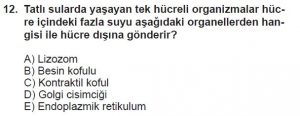 9. Sınıf Biyoloji Test 15 Soru-12