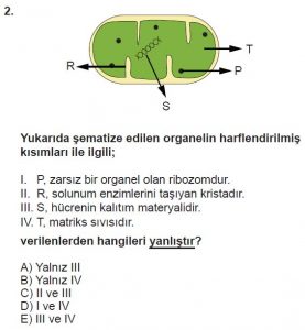9. Sınıf Biyoloji Test 15 Soru-2