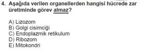 9. Sınıf Biyoloji Test 15 Soru-4