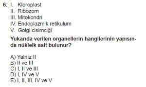 9. Sınıf Biyoloji Test 15 Soru-6