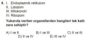 9. Sınıf Biyoloji Test 15 Soru-8