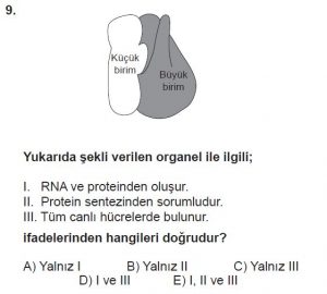 9. Sınıf Biyoloji Test 15 Soru-9