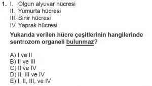 9. Sınıf Biyoloji Test 16 Soru-1