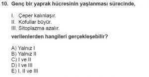 9. Sınıf Biyoloji Test 16 Soru-10