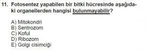 9. Sınıf Biyoloji Test 16 Soru-11