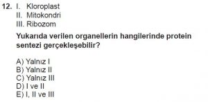 9. Sınıf Biyoloji Test 16 Soru-12