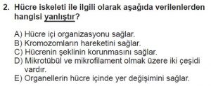 9. Sınıf Biyoloji Test 16 Soru-2