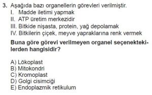 9. Sınıf Biyoloji Test 16 Soru-3