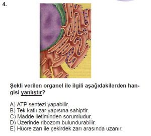 9. Sınıf Biyoloji Test 16 Soru-4