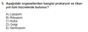 9. Sınıf Biyoloji Test 16 Soru-5