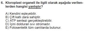 9. Sınıf Biyoloji Test 16 Soru-6