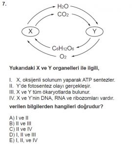 9. Sınıf Biyoloji Test 16 Soru-7