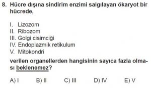 9. Sınıf Biyoloji Test 16 Soru-8