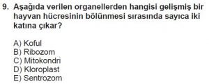 9. Sınıf Biyoloji Test 16 Soru-9
