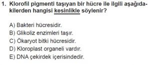 9. Sınıf Biyoloji Test 17 Soru-1