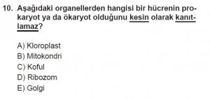 9. Sınıf Biyoloji Test 17 Soru-10