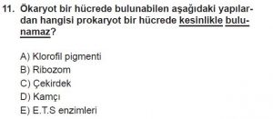 9. Sınıf Biyoloji Test 17 Soru-11