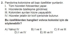 9. Sınıf Biyoloji Test 17 Soru-2