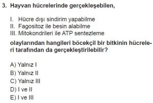 9. Sınıf Biyoloji Test 17 Soru-3