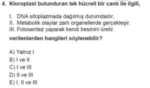 9. Sınıf Biyoloji Test 17 Soru-4