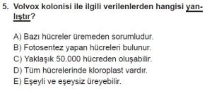 9. Sınıf Biyoloji Test 17 Soru-5