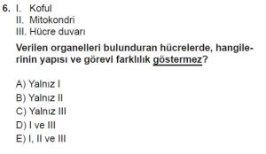 9. Sınıf Biyoloji Test 17 Soru-6