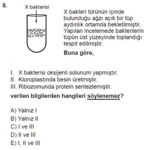 9. Sınıf Biyoloji Test 17 Soru-8