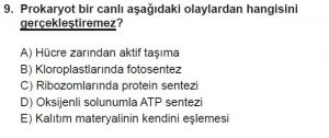 9. Sınıf Biyoloji Test 17 Soru-9