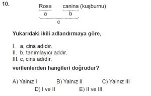 9. Sınıf Biyoloji Test 18 Soru-10