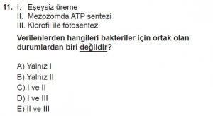 9. Sınıf Biyoloji Test 19 Soru-11