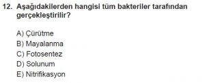 9. Sınıf Biyoloji Test 19 Soru-12