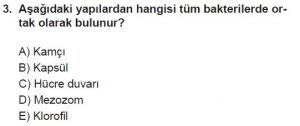 9. Sınıf Biyoloji Test 19 Soru-3