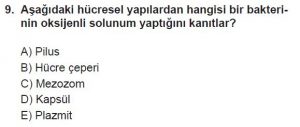 9. Sınıf Biyoloji Test 19 Soru-9