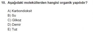 9. Sınıf Biyoloji Test 2 Soru-10