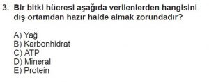 9. Sınıf Biyoloji Test 2 Soru-3
