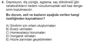 9. Sınıf Biyoloji Test 2 Soru-4
