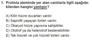 9. Sınıf Biyoloji Test 20 Soru-1