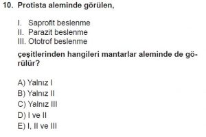 9. Sınıf Biyoloji Test 20 Soru-10