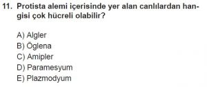 9. Sınıf Biyoloji Test 20 Soru-11