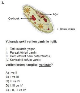9. Sınıf Biyoloji Test 20 Soru-3