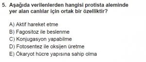 9. Sınıf Biyoloji Test 20 Soru-5