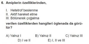 9. Sınıf Biyoloji Test 20 Soru-6