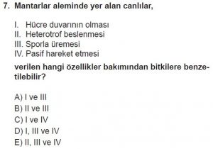 9. Sınıf Biyoloji Test 20 Soru-7
