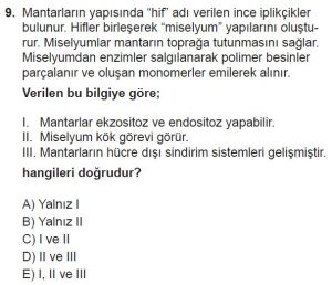 9. Sınıf Biyoloji Test 20 Soru-9