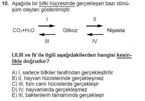 9. Sınıf Biyoloji Test 3 Soru-10
