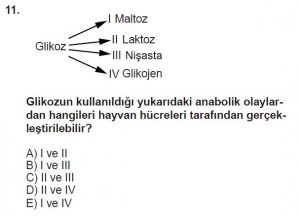9. Sınıf Biyoloji Test 3 Soru-11