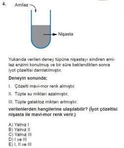 9. Sınıf Biyoloji Test 3 Soru-4